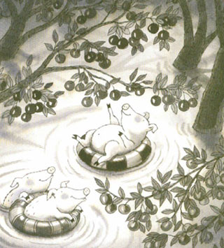 ��ͼ������������ѡ 