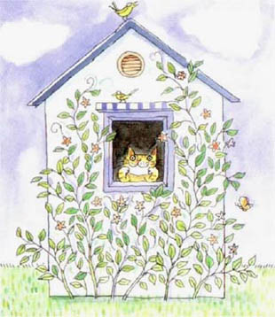 ��ͼ������������ѡ 